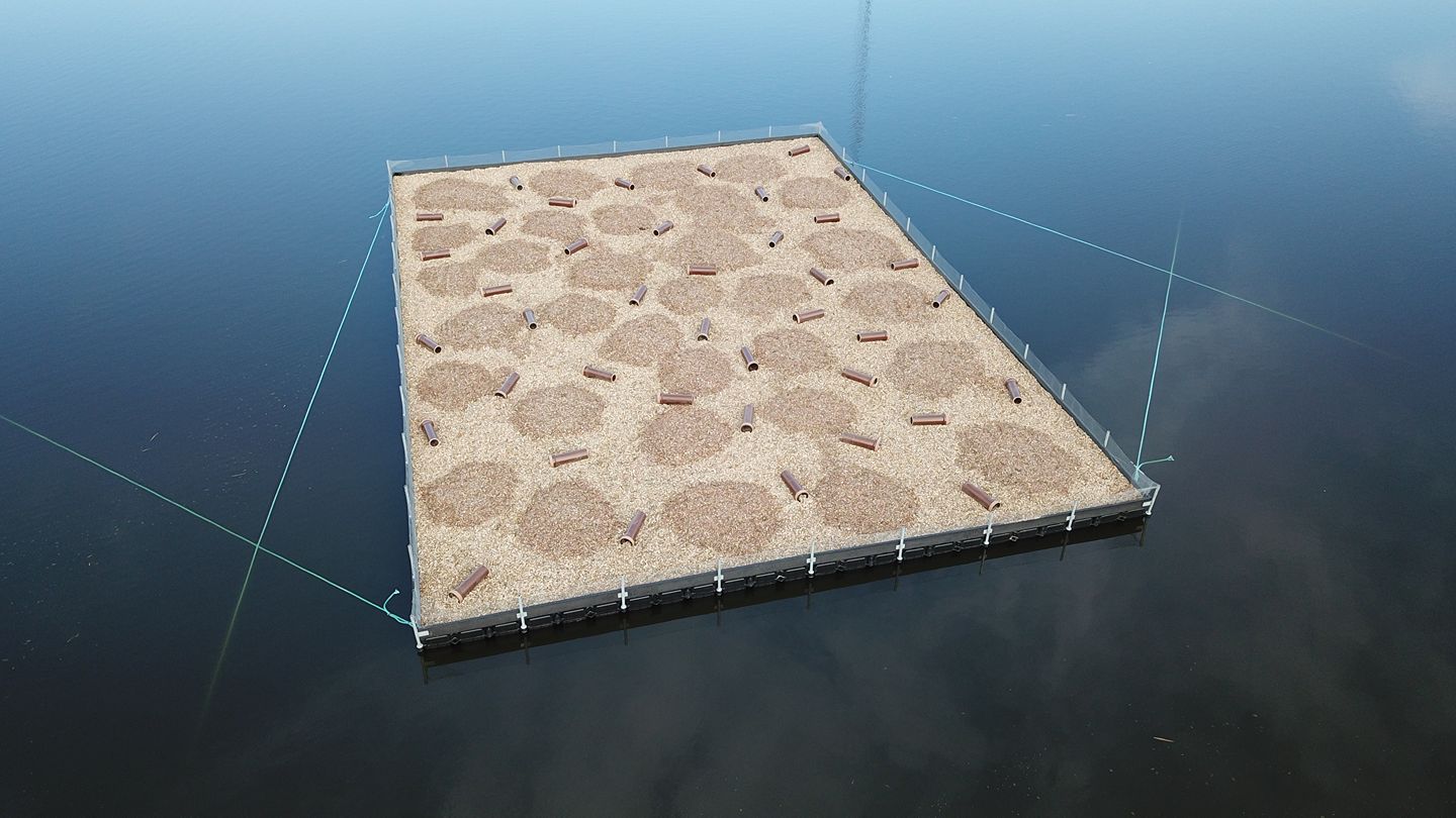 Cube pontoons for purchase